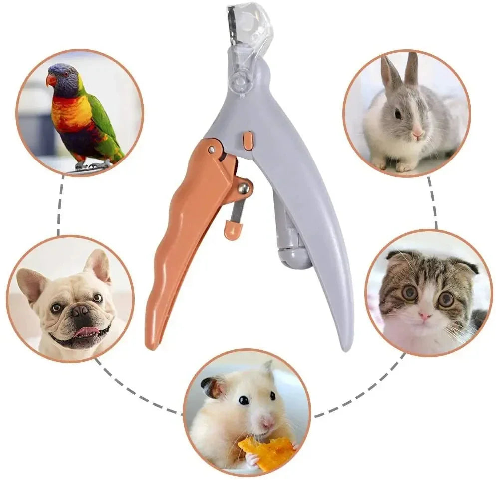 Professional Pet Nail Clipper Scissors with LED Light Cat Dog Nail Clippers Tool Scissors Nail Toeclaw Cutter Scissors for Pet