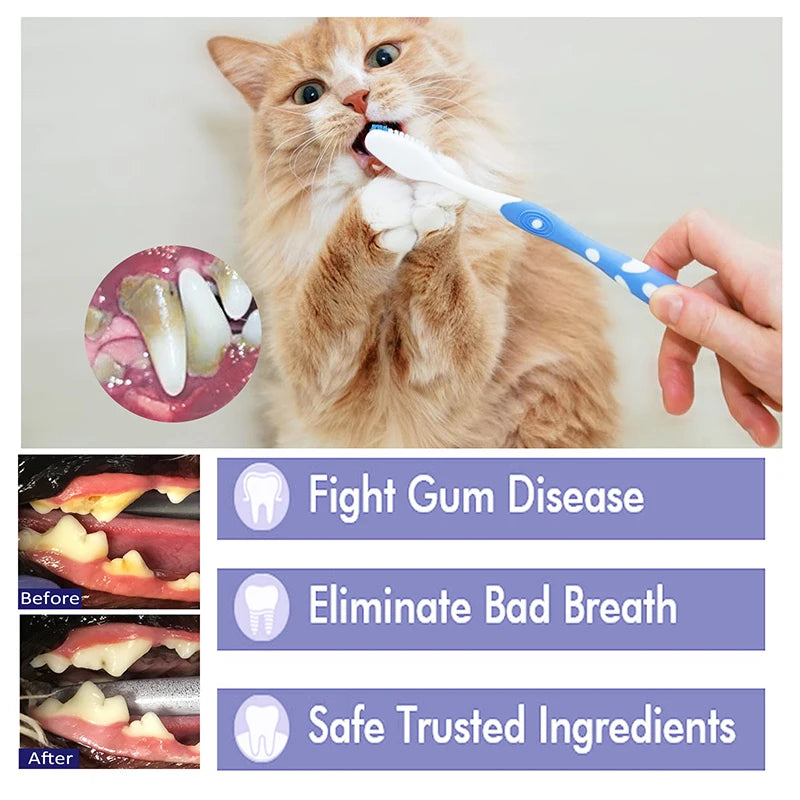 Pet Cat Dog Universal Tootpaste Cleaning Supplies Pets Tartar Control Oral Cleaning Gum Dental Care Clean Pet Products