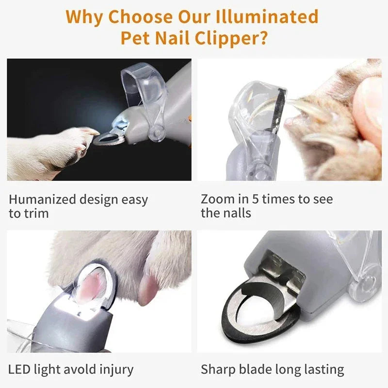 Professional Pet Nail Clipper Scissors with LED Light Cat Dog Nail Clippers Tool Scissors Nail Toeclaw Cutter Scissors for Pet